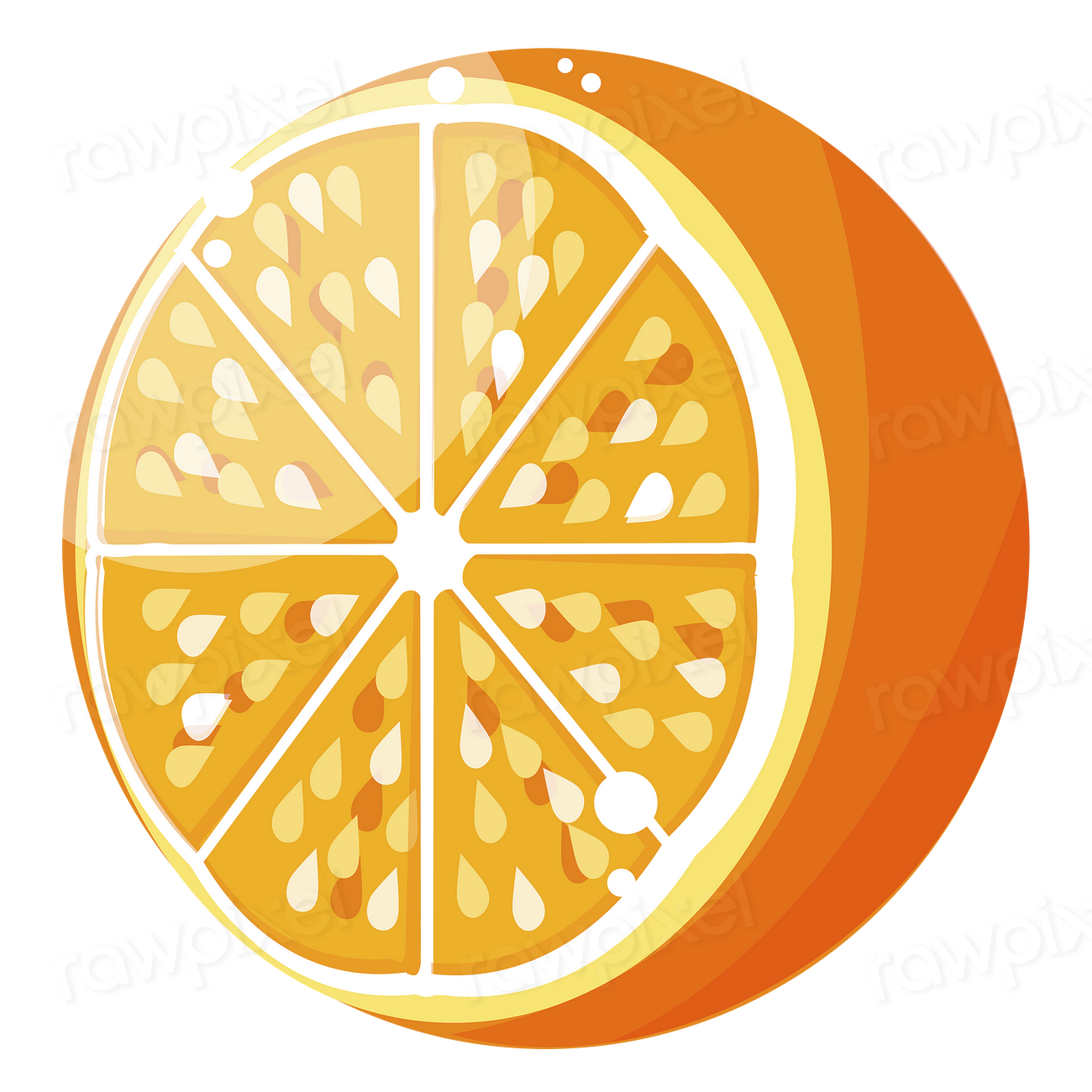 diététique nutrition conseils nutritionnels consultations informations nutritionnelles sain santé diététicien nutritionniste lyon éducation nutritionnelle kiwi vert vitamine c fruit super aliments